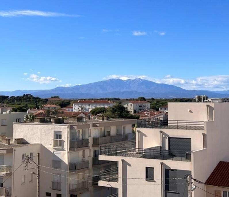 Studio Cote Plage Tout Equipe Vue Sur Le Canigou Кане-ан-Руссійон Екстер'єр фото